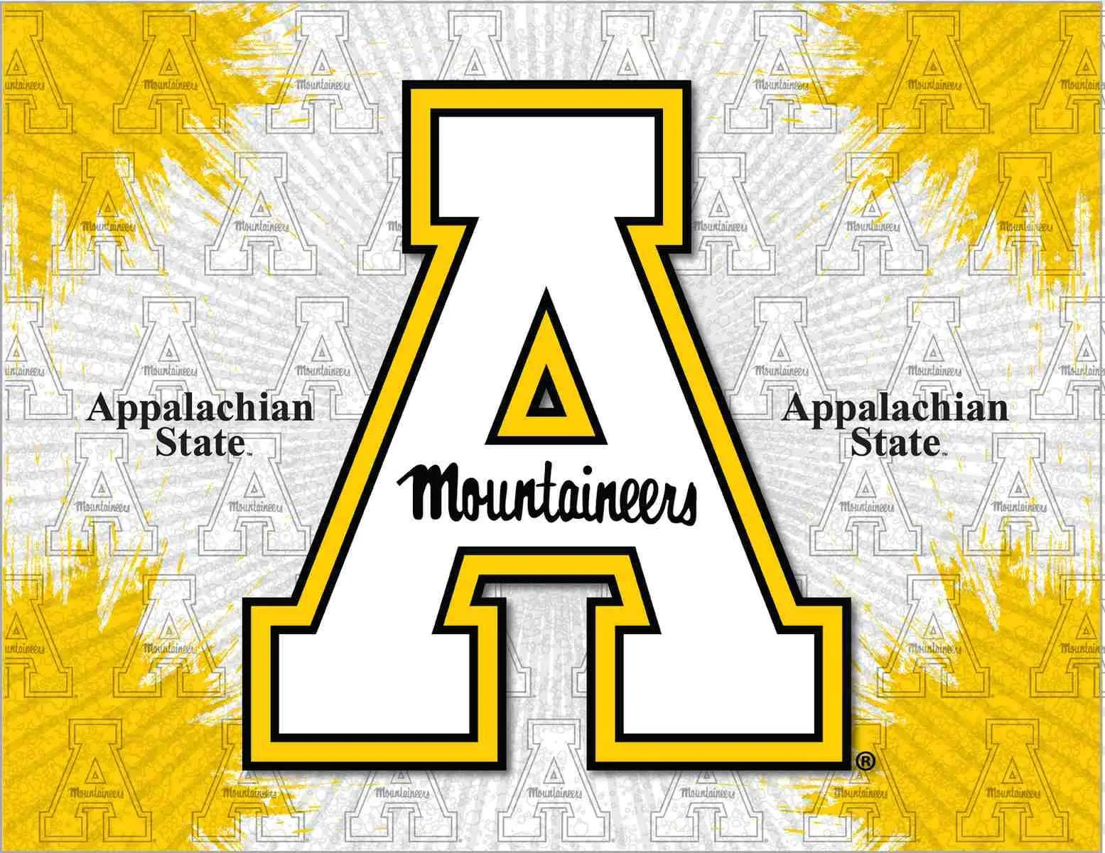 Appalachian State Mountaineers HBS Gray Gold Wall Canvas Art Picture Print