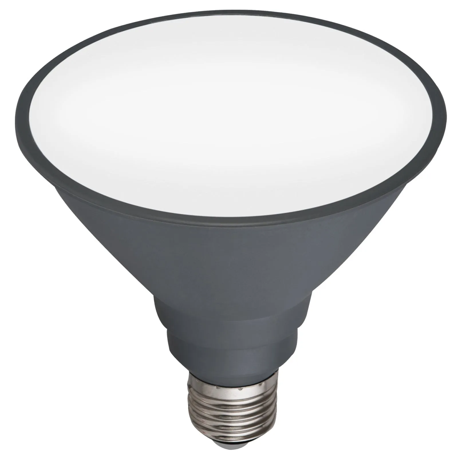 PAR38 Day Light E27 LED Globe