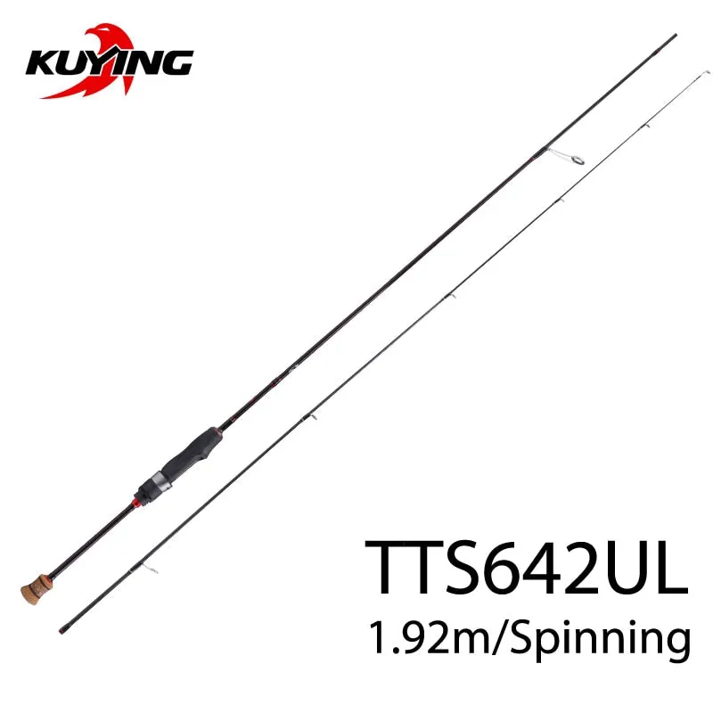 Ultra Light Fishing Pole