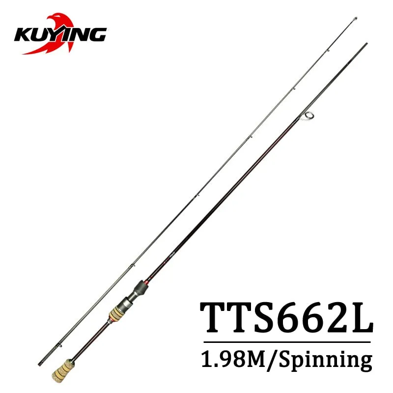 Ultra Light Fishing Pole